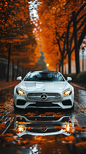White Mercedes AMG GT Autumn Road Reflection