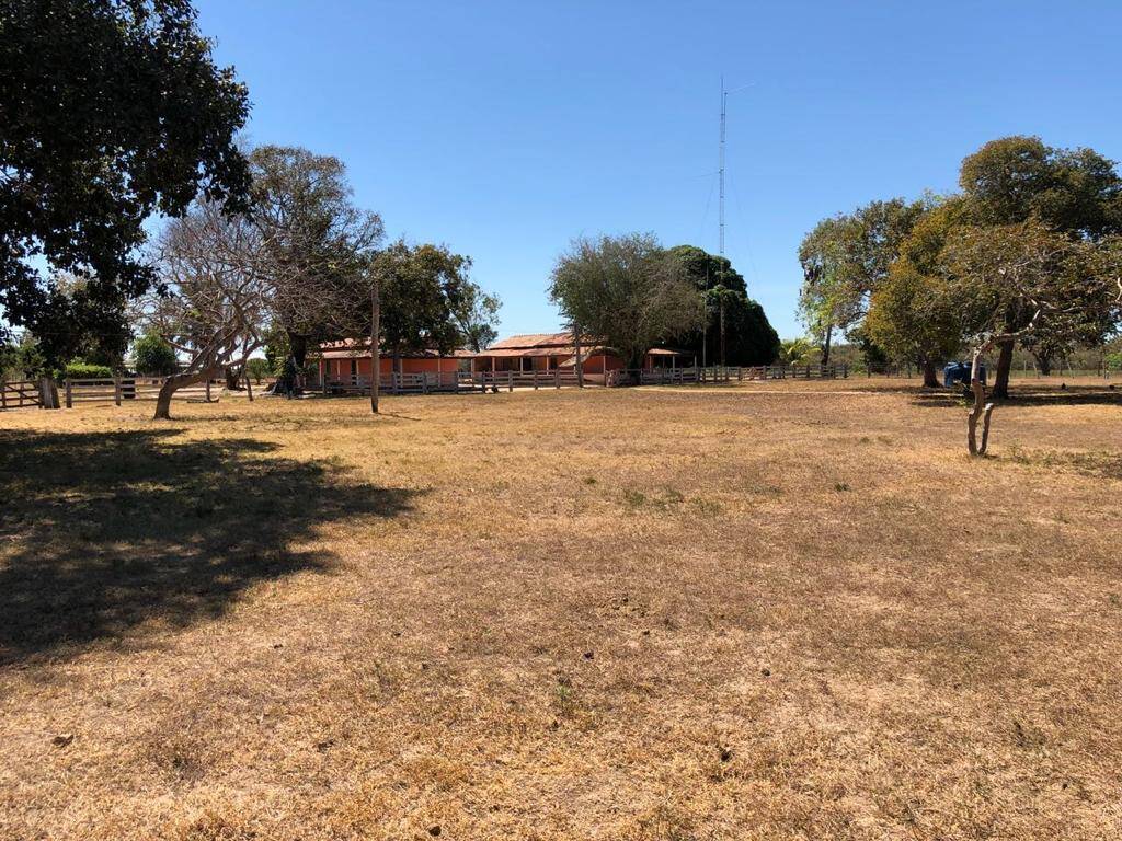 Fazenda em Novo Santo Antônio - MT 6