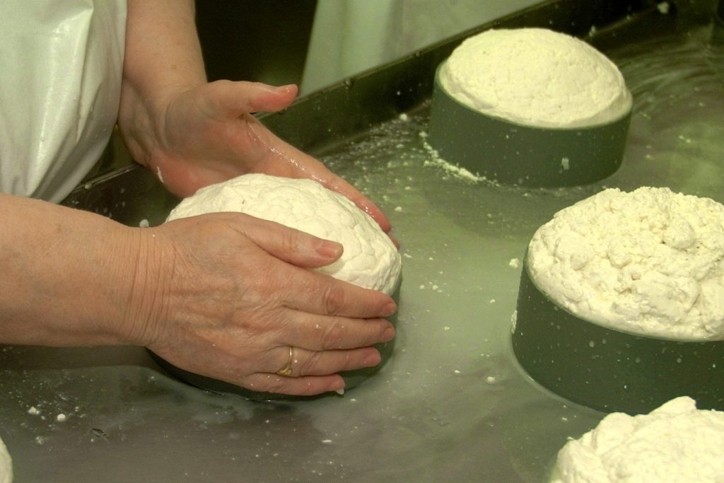Visitors learning to make goat cheese during a workshop at Monte Robledo in Aracena.