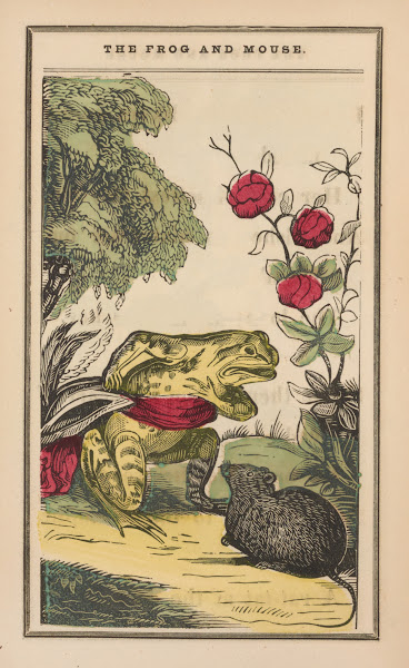 The little frog and pretty mouse Pl3 1852