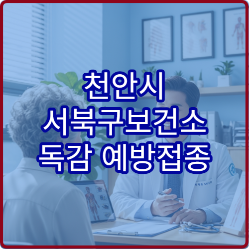 천안시 서북구보건소 독감 예방접종 접종 대상과 예약 방법