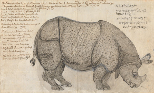 A Rhinoceros in the Pashwas Menagerie at Poona 1790