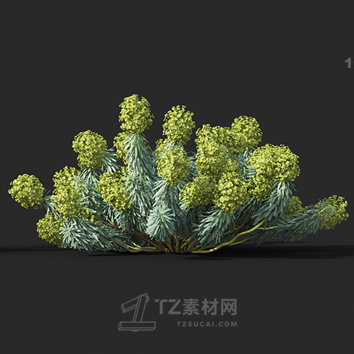 Maxtree - Plant Models Vol.60