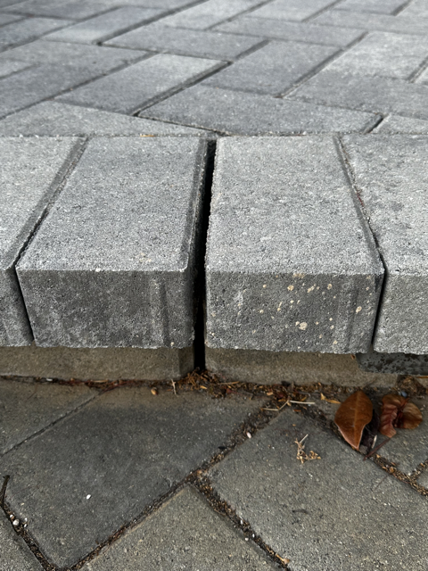 Landscape at alleged completion July 2022 — Evo received $250,000 then filed fraudulent lien