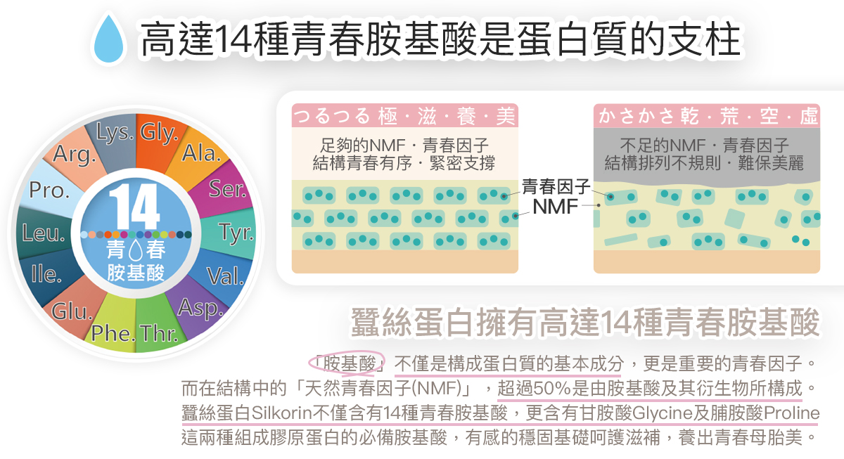 THMIS 肽美斯 產品說明 2