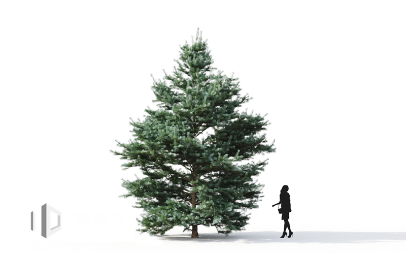 Maxtree - Plant Models Vol.9