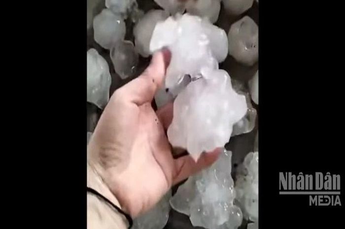 [Video] Mưa đá tiếp tục xuất hiện, gây thiệt hại tại Nghệ An và Hà Tĩnh - Báo Nhân Dân