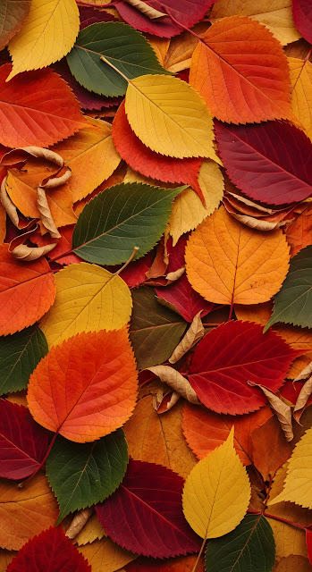 Vibrant Autumn Leaf Texture Mosaic - Free mobile Wallpaper