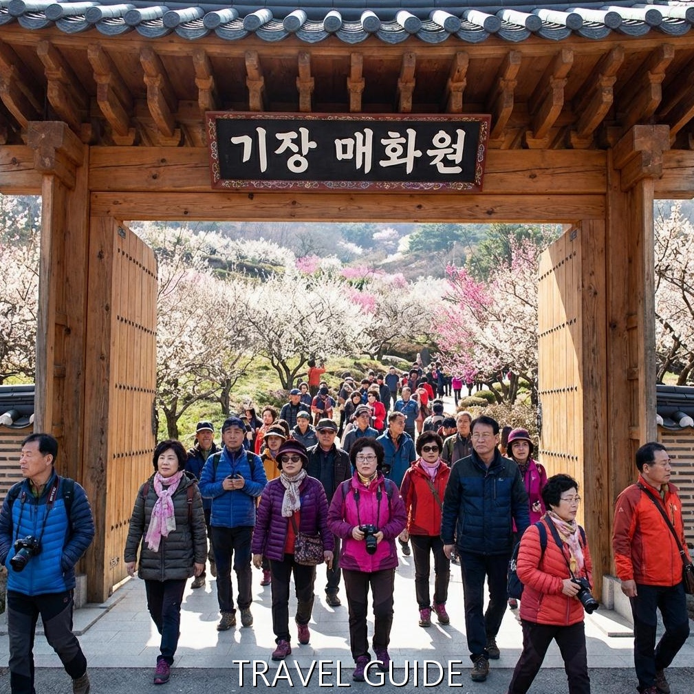 스마트한 방문을 위한 입장료 및 운영 시간 정보