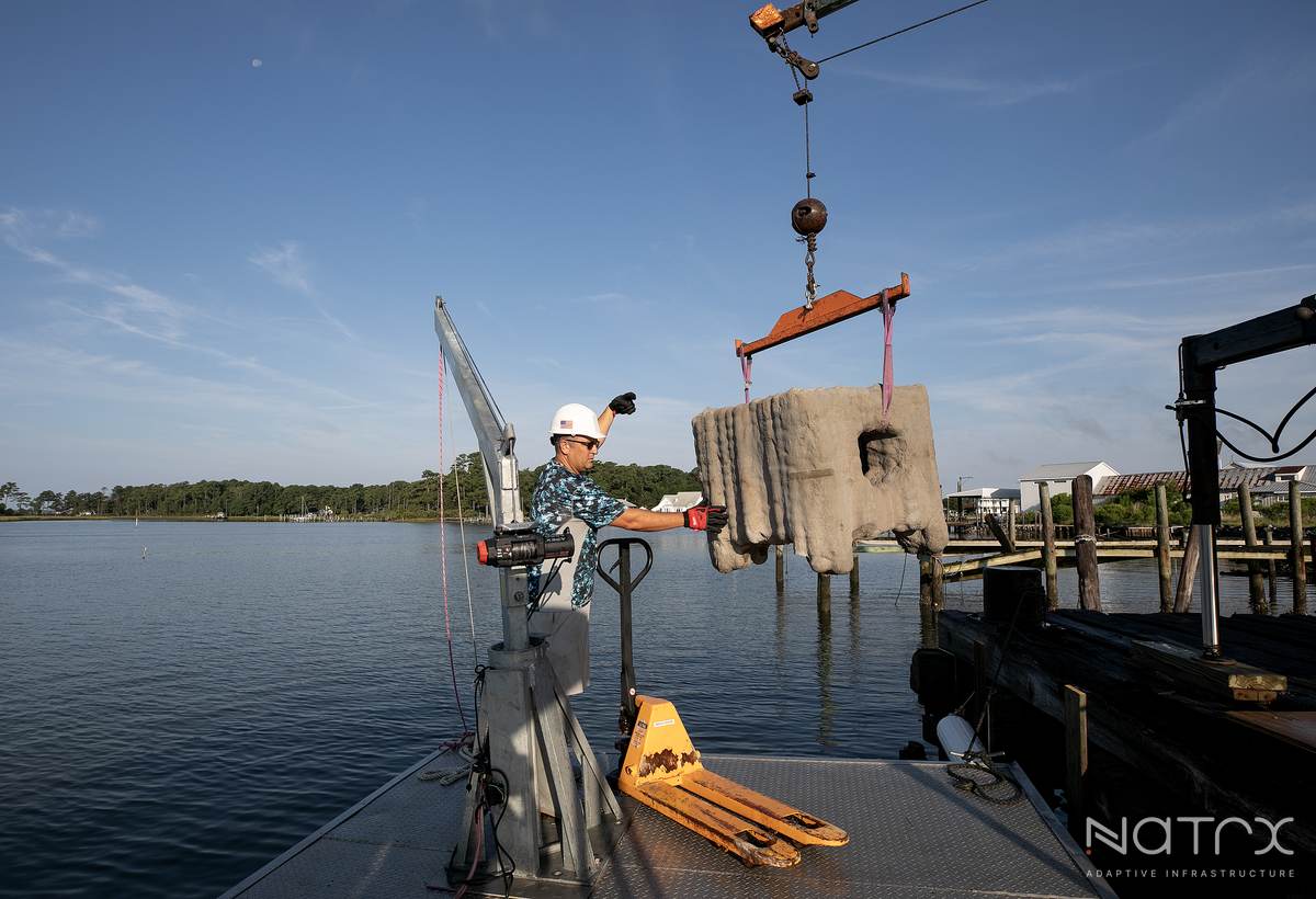 mppdc reefs 08-09-2023 14.jpg