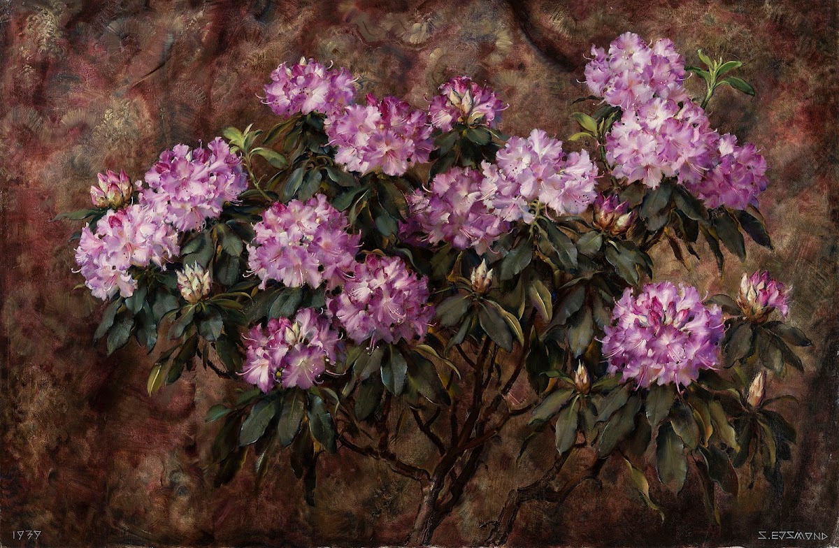 Rododendrony 1939