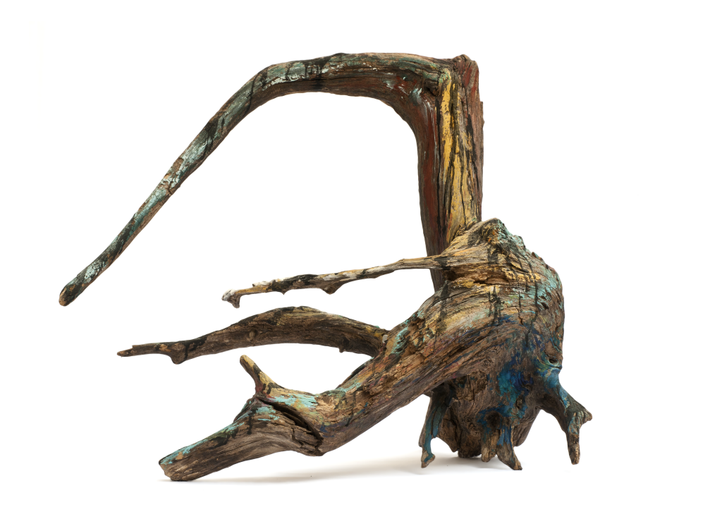 driftwood
