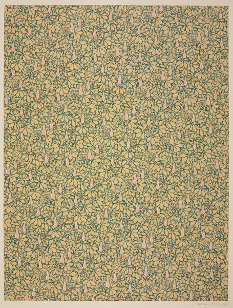 Ensemble de papiers de garde pour Eugène Verneau Pl36 1913 1923