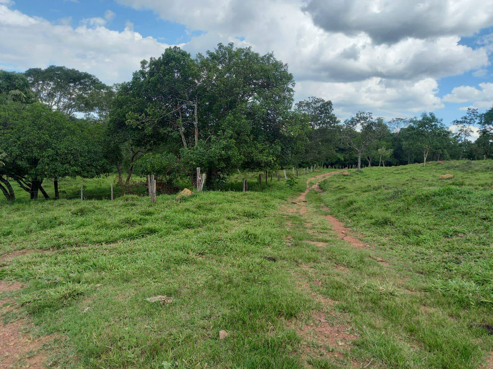 Fazenda em São Miguel do Passa Quatro-GO 6