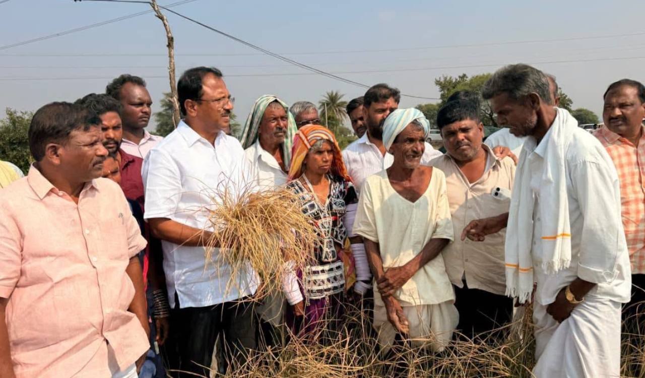 Palamuru Crops Dry Up as BRS Blames Stalled PRLI Works