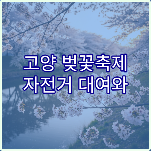 고양 벚꽃축제 자전거 대여와 호수 라이딩 초보 팁