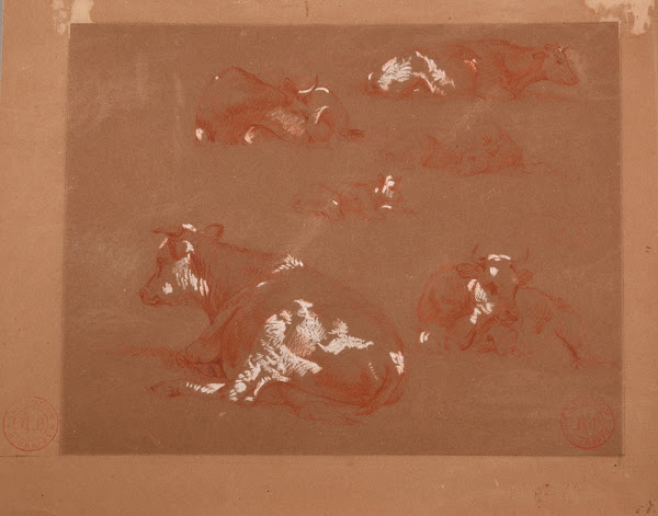 Études de vaches