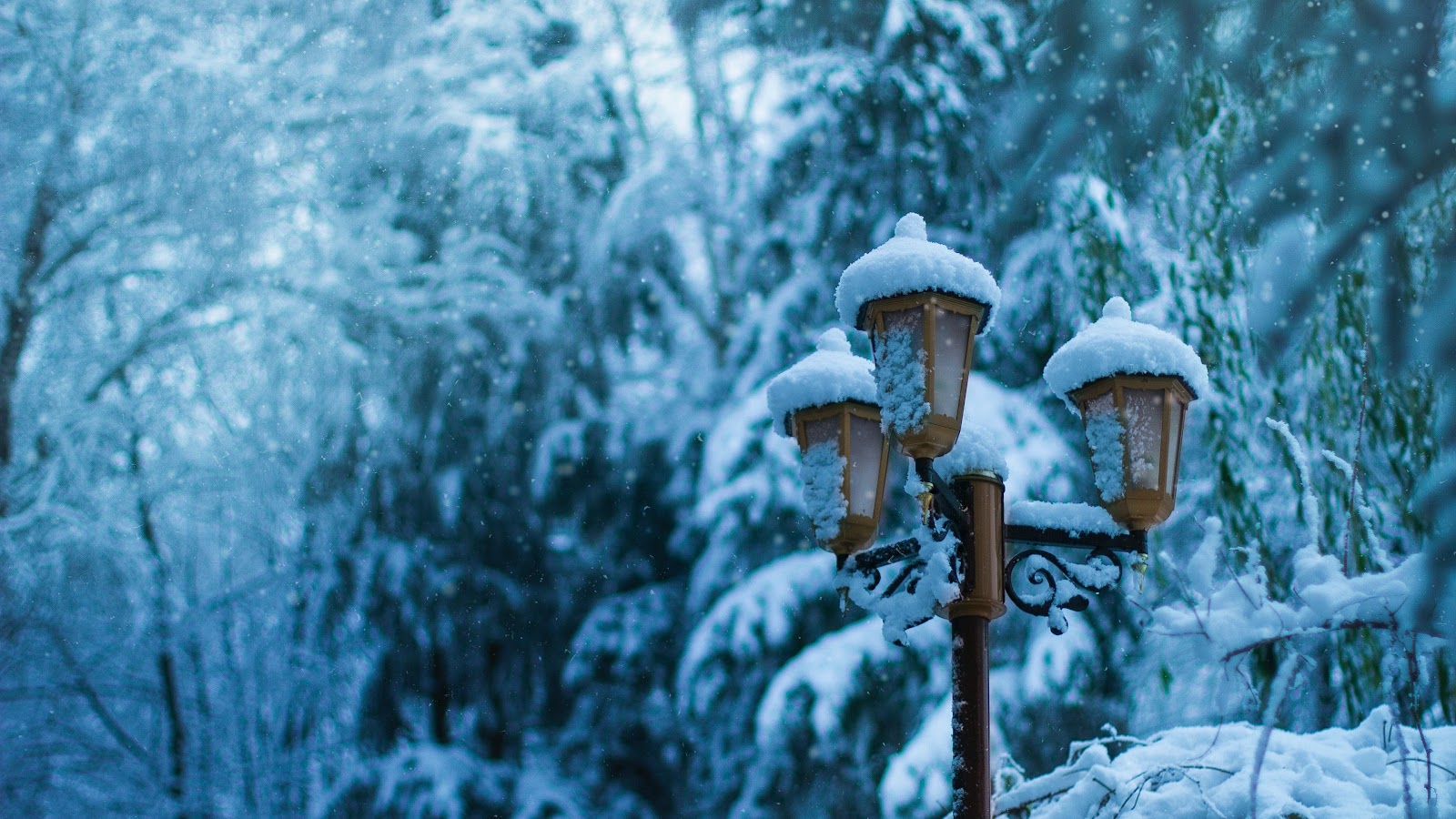 Winter Wallpaper