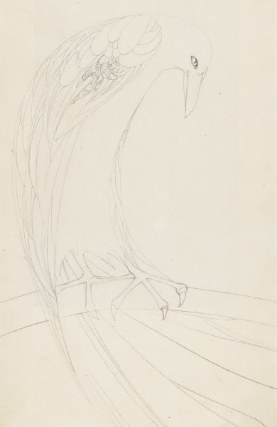 Roofvogel op een tak 1890   1909
