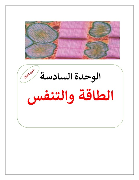 مذكرة الأساس ملخص وحدة الطاقة والتنفس - أحياء الصف 12 الفصل 2