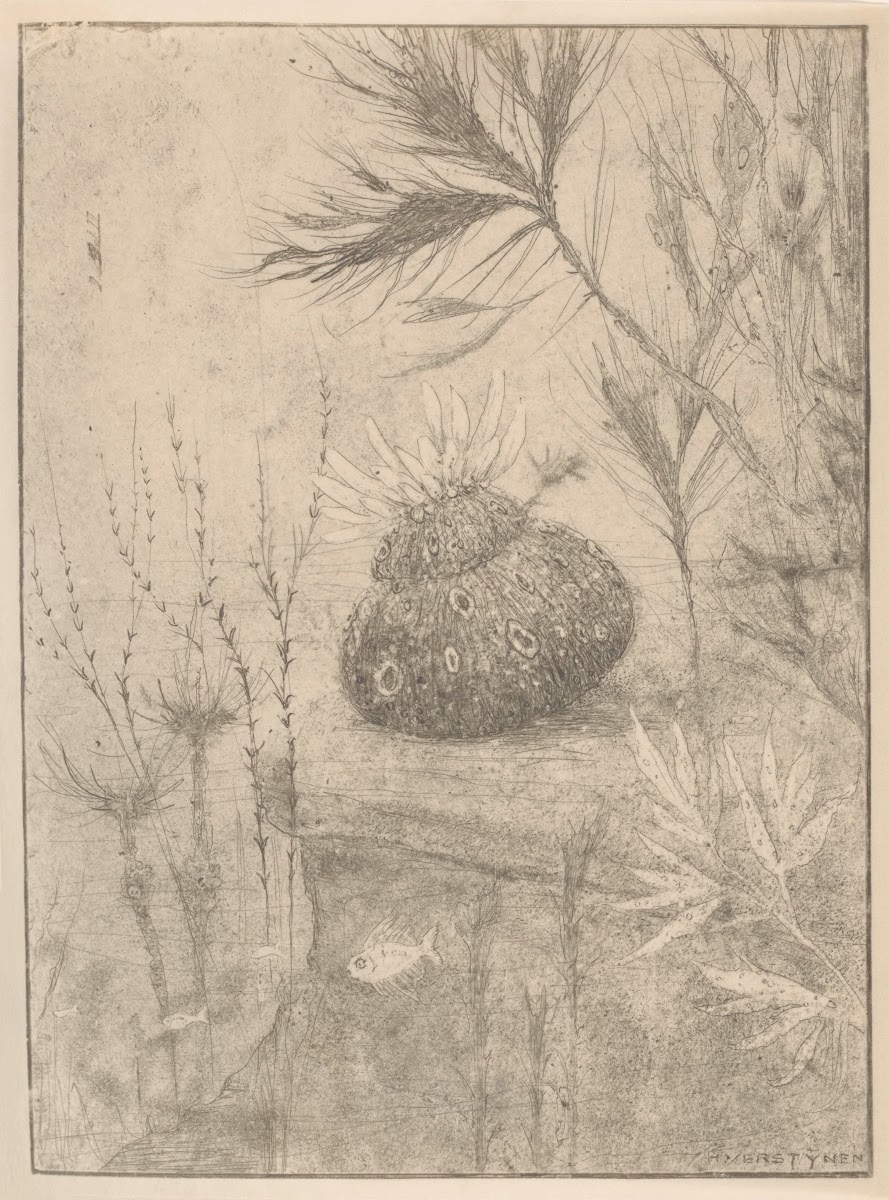 Waterplanten 1892 1940