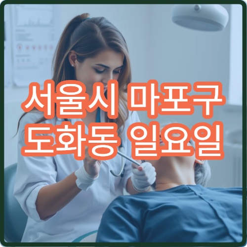 서울시 마포구 도화동 일요일 신경외과 목디스크 통증 상담