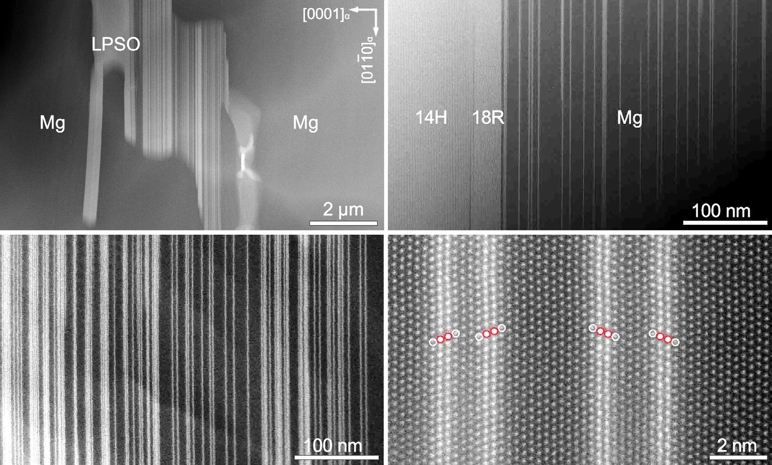 New poly-types of LPSO structures in a non-equilibrium Mg97Zn1Y1.6Ca0.4 alloy