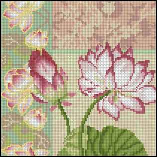 CMP 171245 Composition Of Lotus Flowers