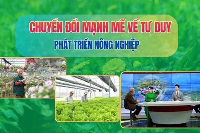 Chuyển đổi mạnh mẽ về tư duy phát triển nông nghiệp để 'đánh thức' giá trị đất đai - Báo Hà Nội Mới