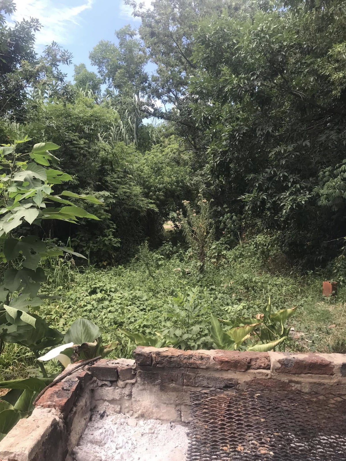 Foto 4