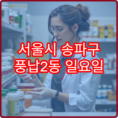 서울시 송파구 풍납2동 일요일 당번약국 주말 문여는 약국 위치 정리