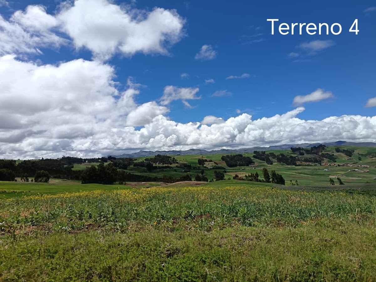 Imagen 19 de Terreno