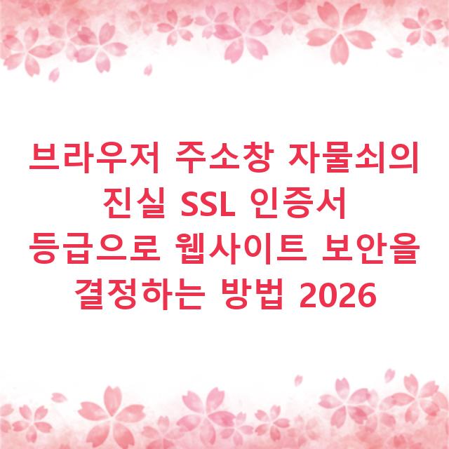 브라우저 주소창 자물쇠의 진실 SSL 인증서 등급으로 웹사이트 보안을 결정하는 방법 2026