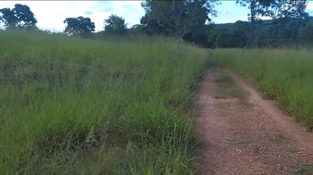 Fazenda em São Miguel do Passa Quatro-GO 4
