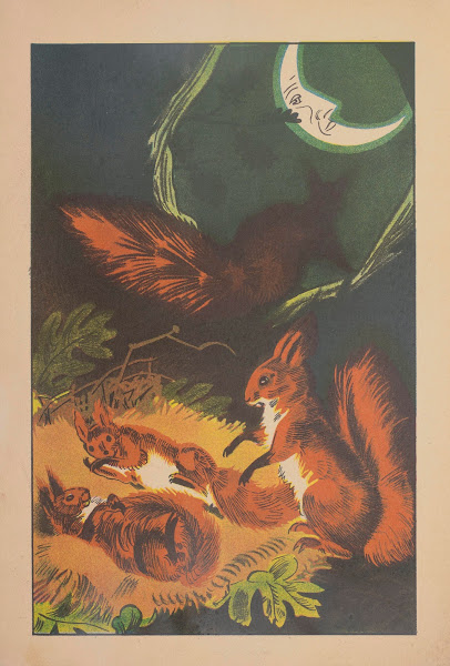 Wiewióreczki Pl5 1936