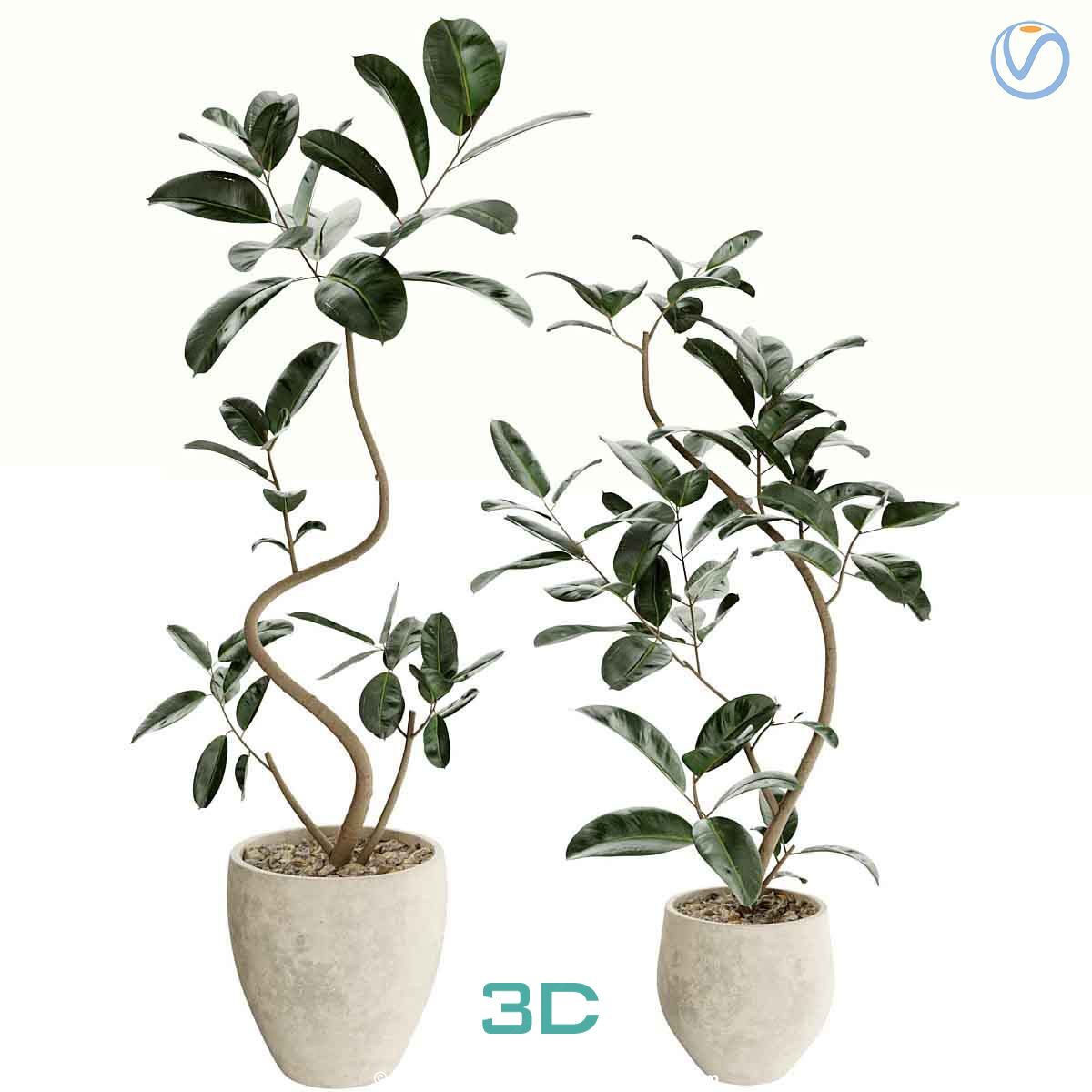 978.Sell Album Indoor Plant PRO Vol 01