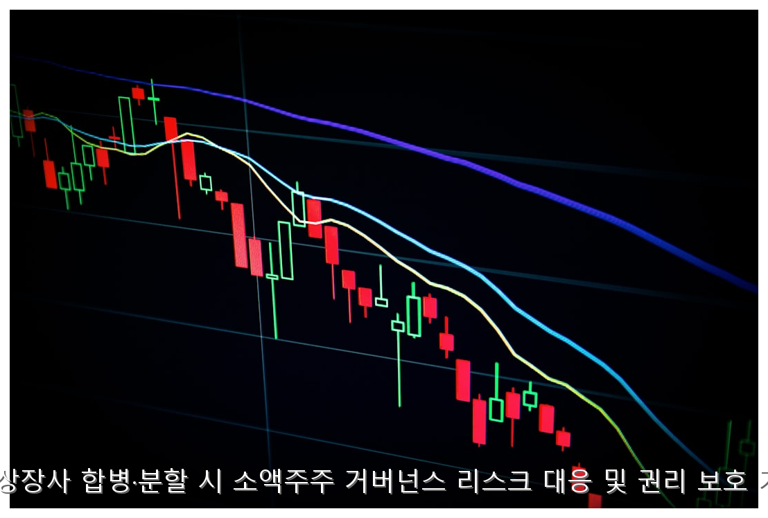 국내 상장사 합병·분할 시 소액주주 거버넌스 리스크 대응 및 권리 보호 가이드 핵심 안내 및 분석 인포그래픽 (7)