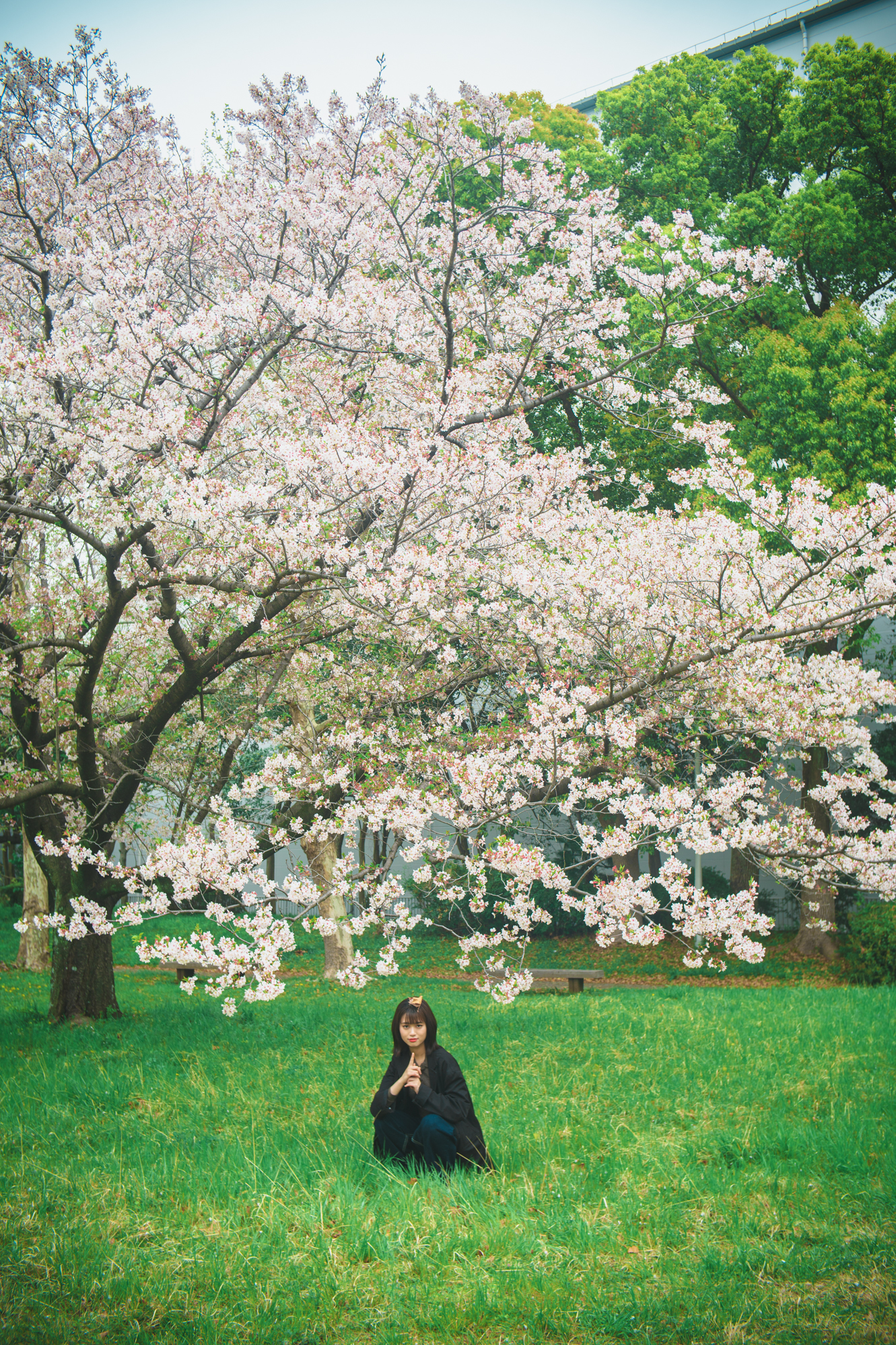 Portrait — Makino Shota