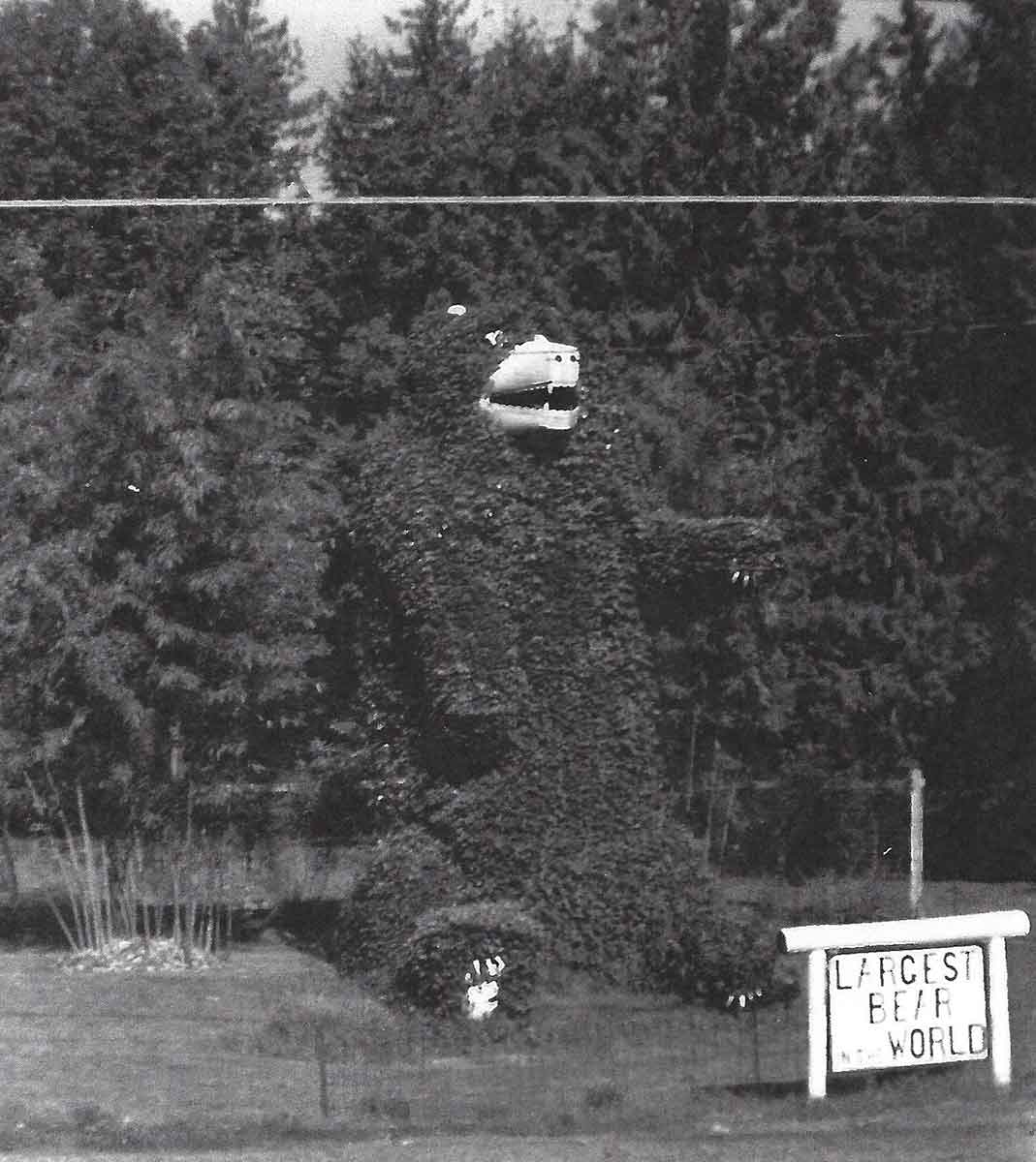 Largest Bear In The World