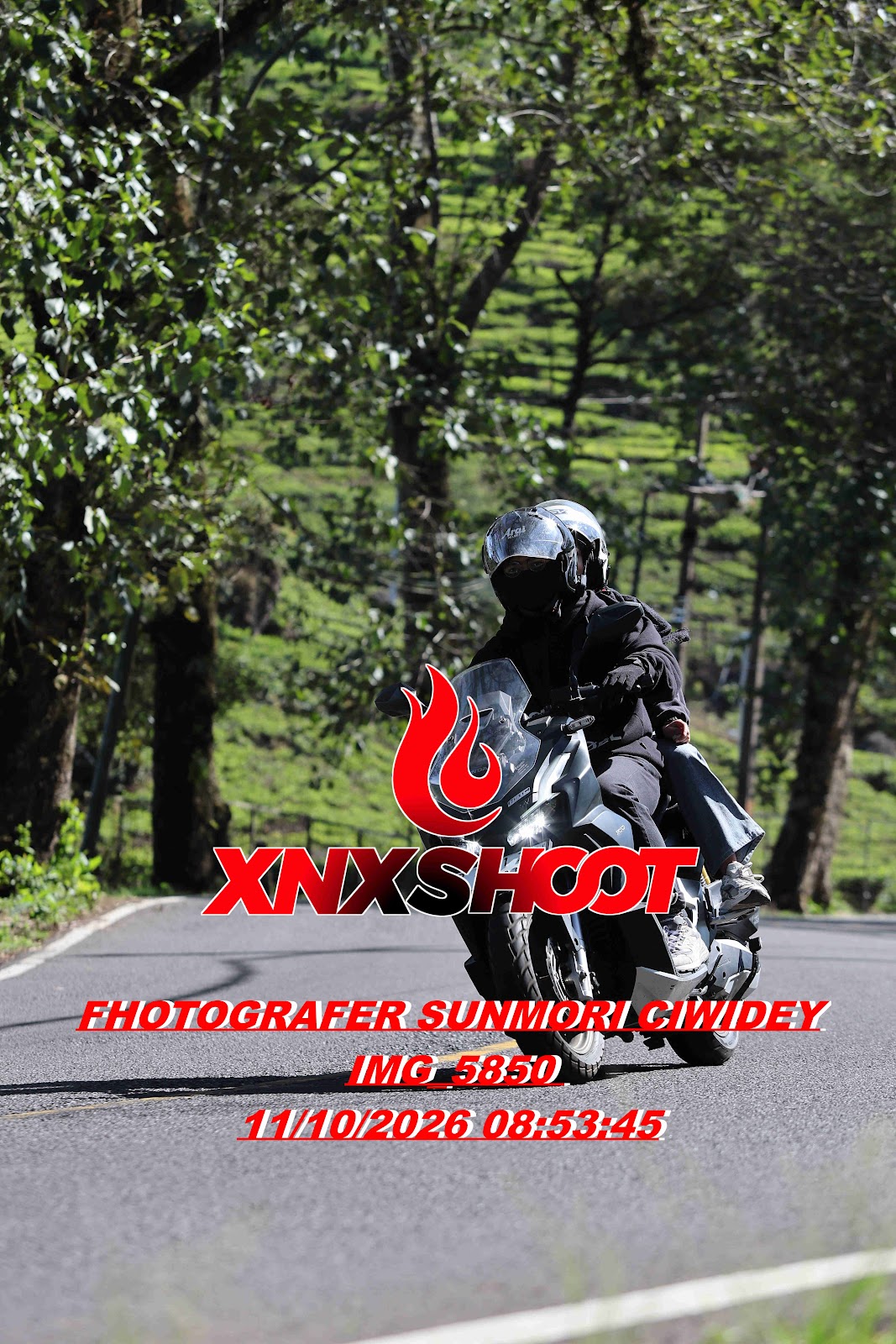 IMG_5850_result.jpg