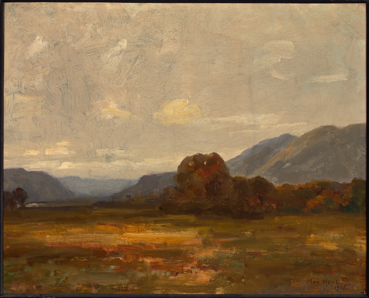 Landscape 1905