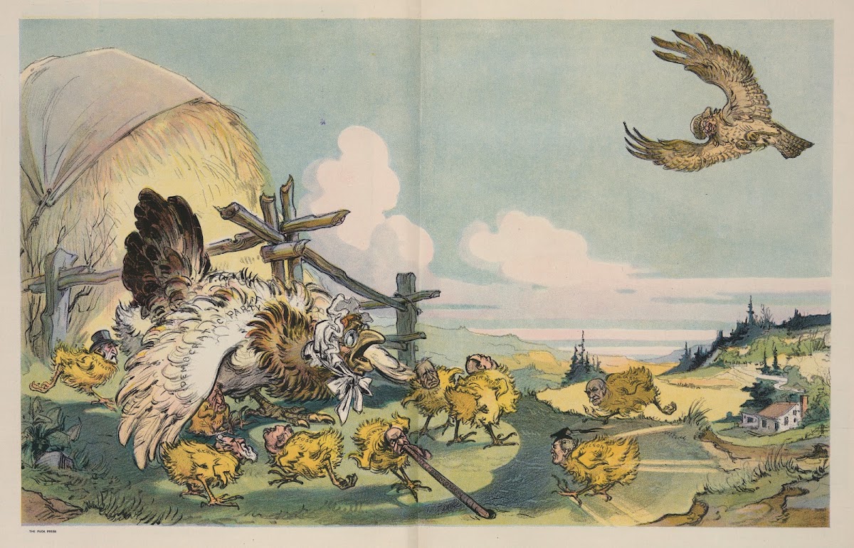 The hawk 1912