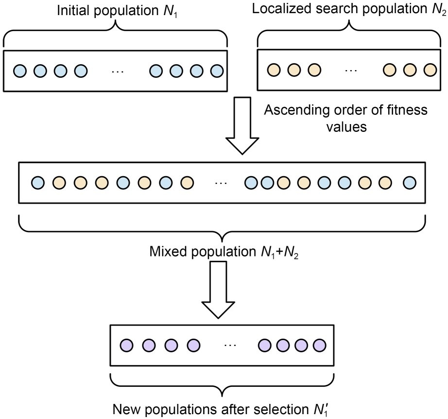 A power optimization approach for mixed polarity Reed–Muller logic circuits based on multi-strategy fusion memetic algorithm