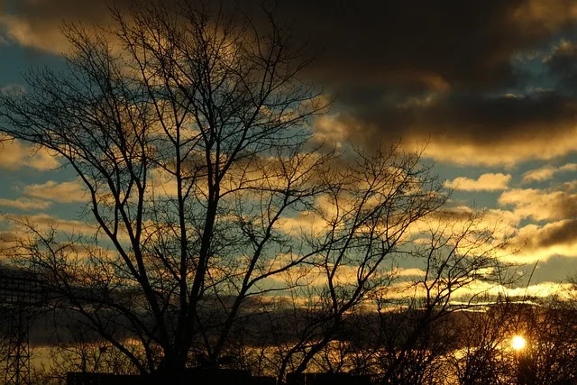 겨울만 되면 우울한 기분, 이유는 무엇일까?