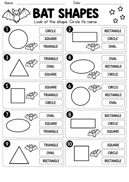 Bat Shape Recognition Worksheet