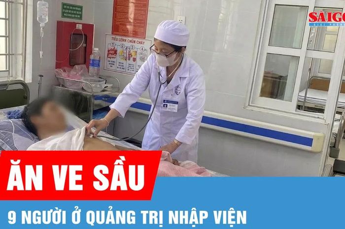 Ăn ve sầu, 9 người ở Quảng Trị nhập viện - Báo Sài Gòn Giải Phóng