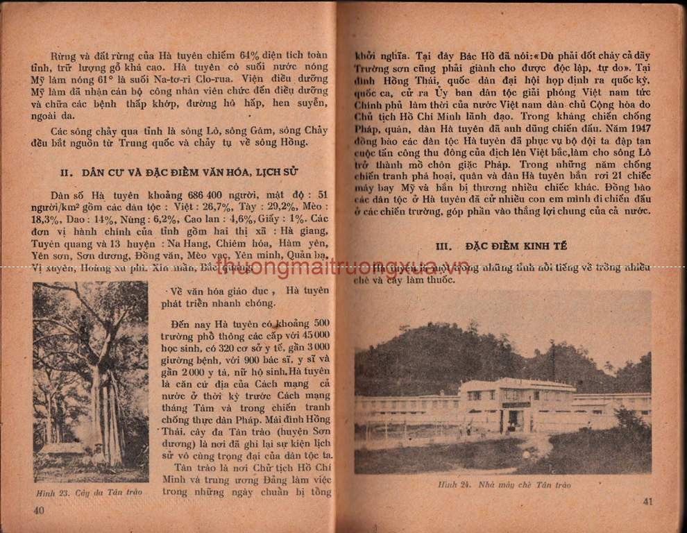 Tập san : Mực tím (số 62 - 1992) - Trang 22