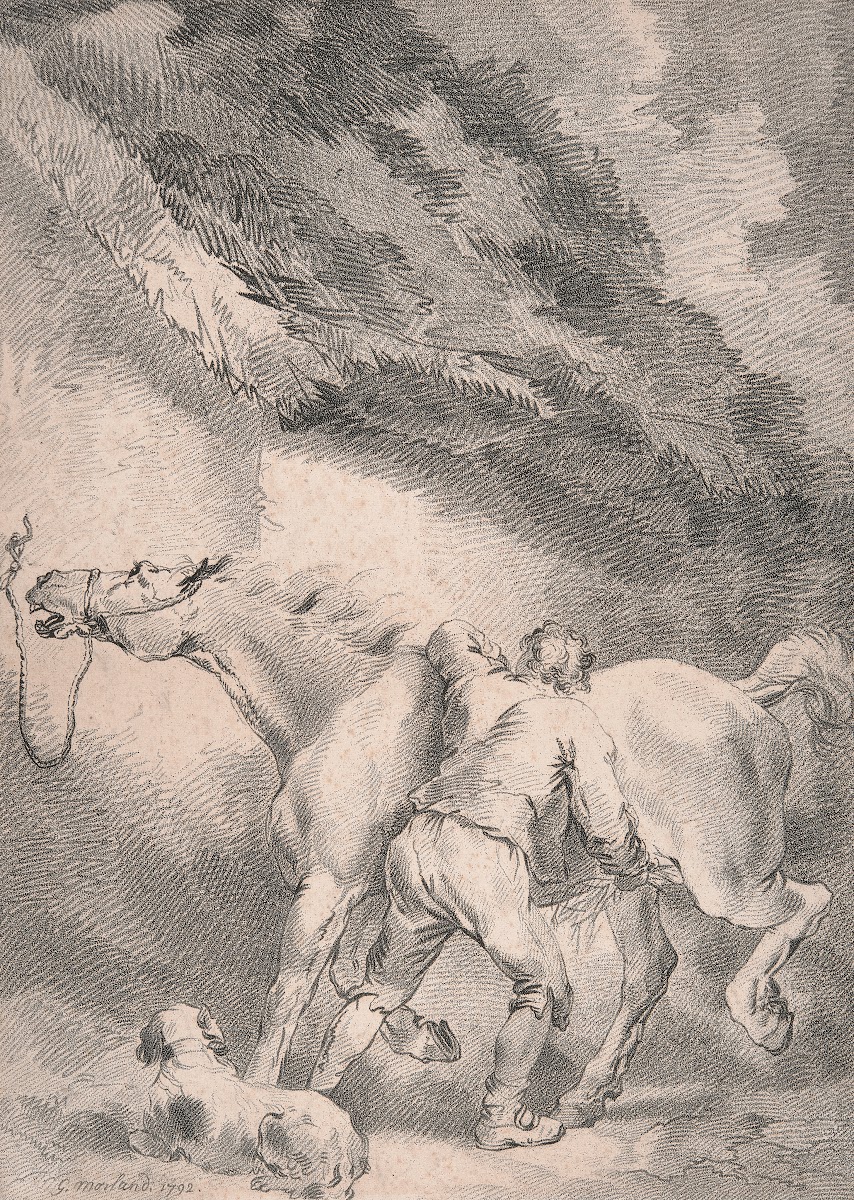 Groom rubbing down a horse