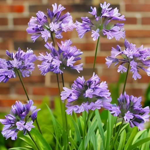 Agapanthus 'Charlotte' in piena fioritura con spighe di fiori blu cielo, in un giardino mediterraneo.
