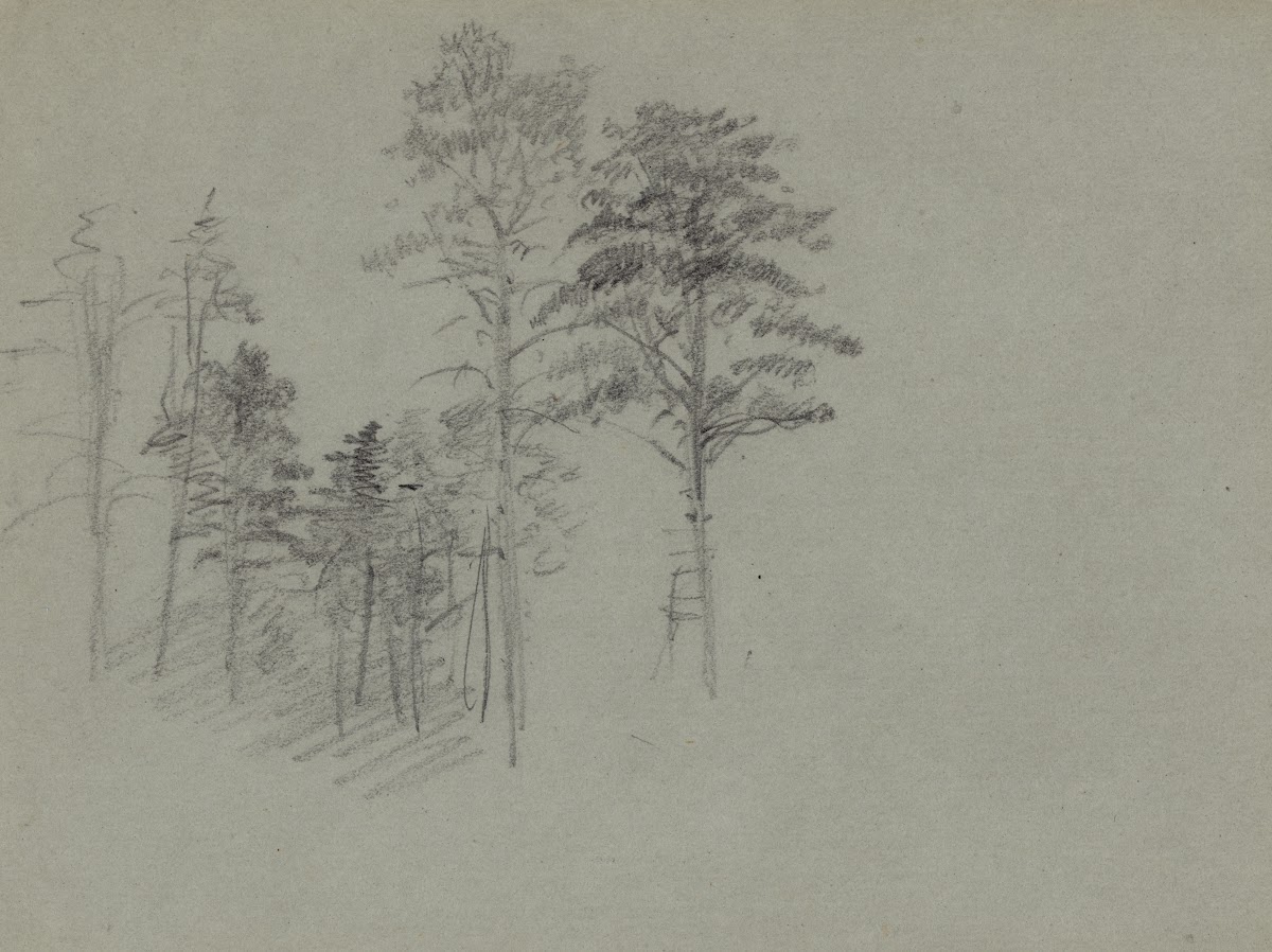 Trees 1860 1864